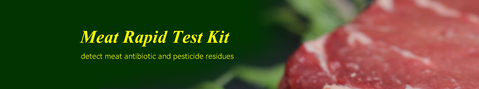 Ringbio Meat Rapid Test Kit