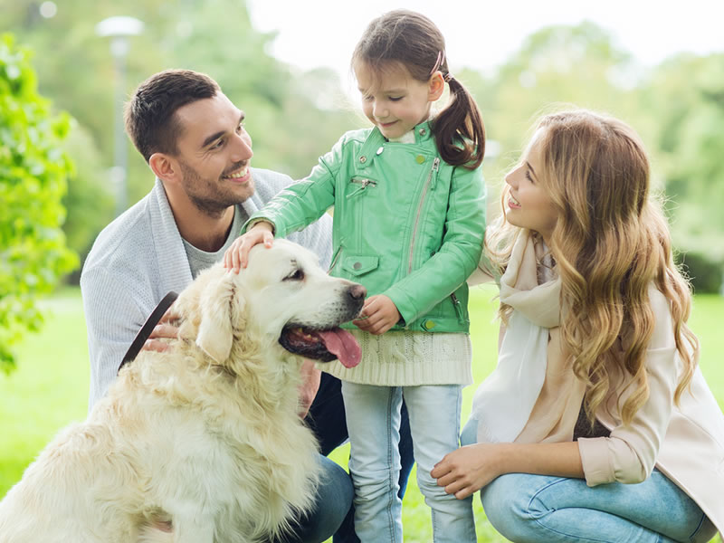 Pet test kits from Ringbio