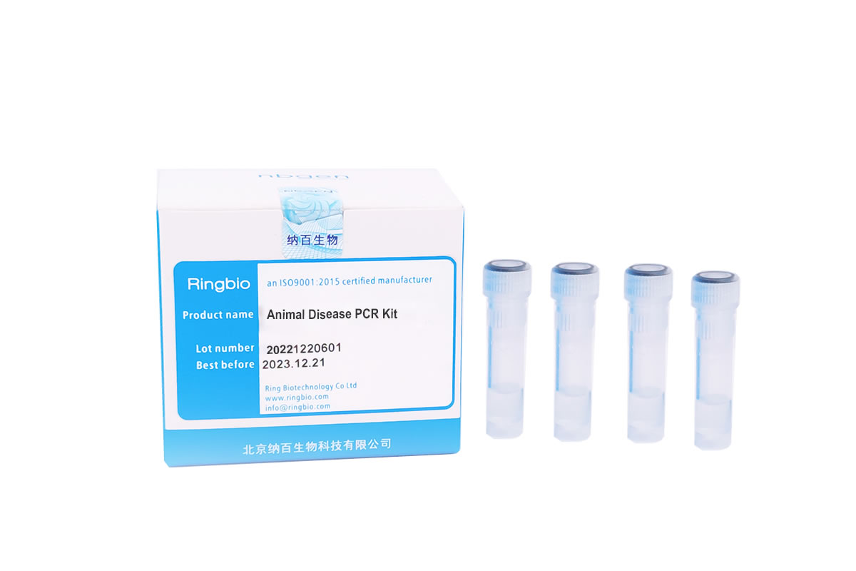 Brucella Real-time PCR Kit