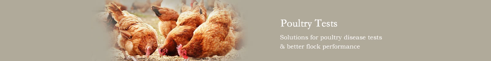 Poultry Test Kit