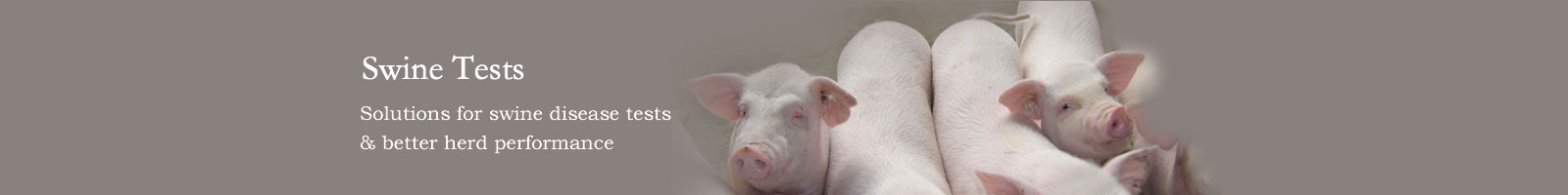 Swine test kits