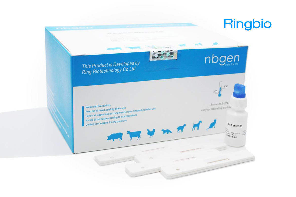 Bovine Tuberculosis Ab Rapid Test Kit