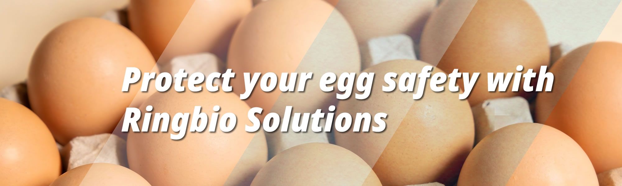 Protect Your Egg Safety, the Nutritional Powerhouse and Safety Priority